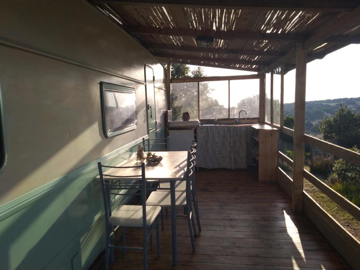 La Cera Farm Camping B&B Santa Teresa Gallura Exteriér fotografie