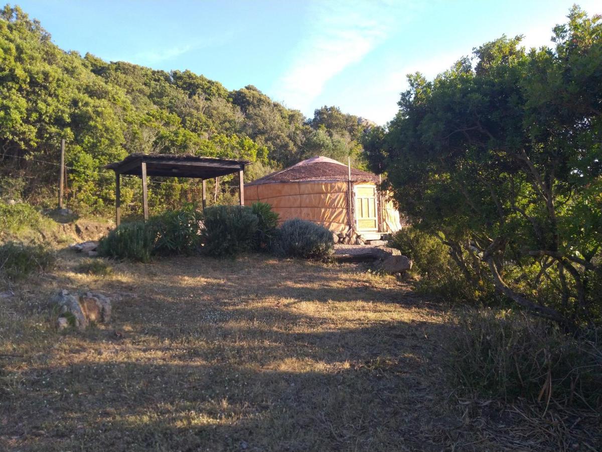 La Cera Farm Camping B&B Santa Teresa Gallura Exteriér fotografie