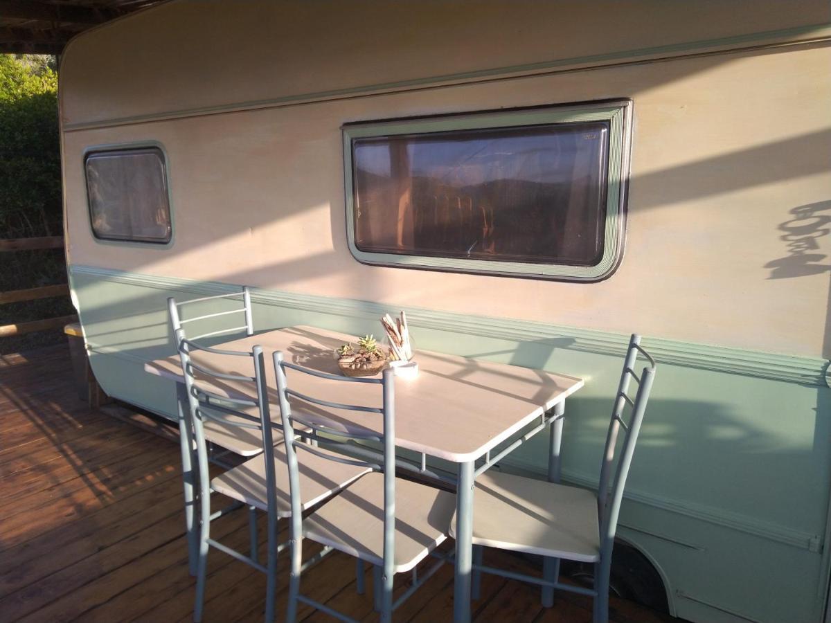 La Cera Farm Camping B&B Santa Teresa Gallura Exteriér fotografie