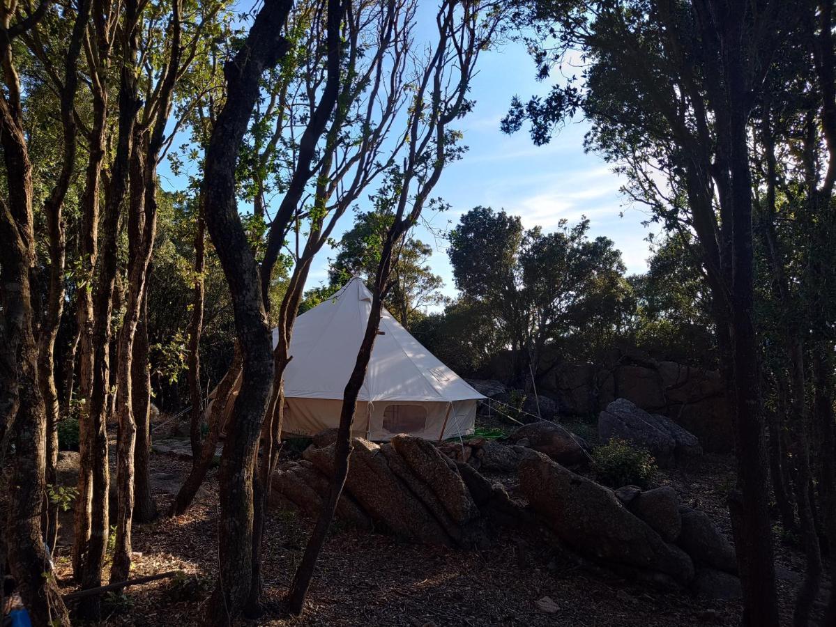 La Cera Farm Camping B&B Santa Teresa Gallura Exteriér fotografie