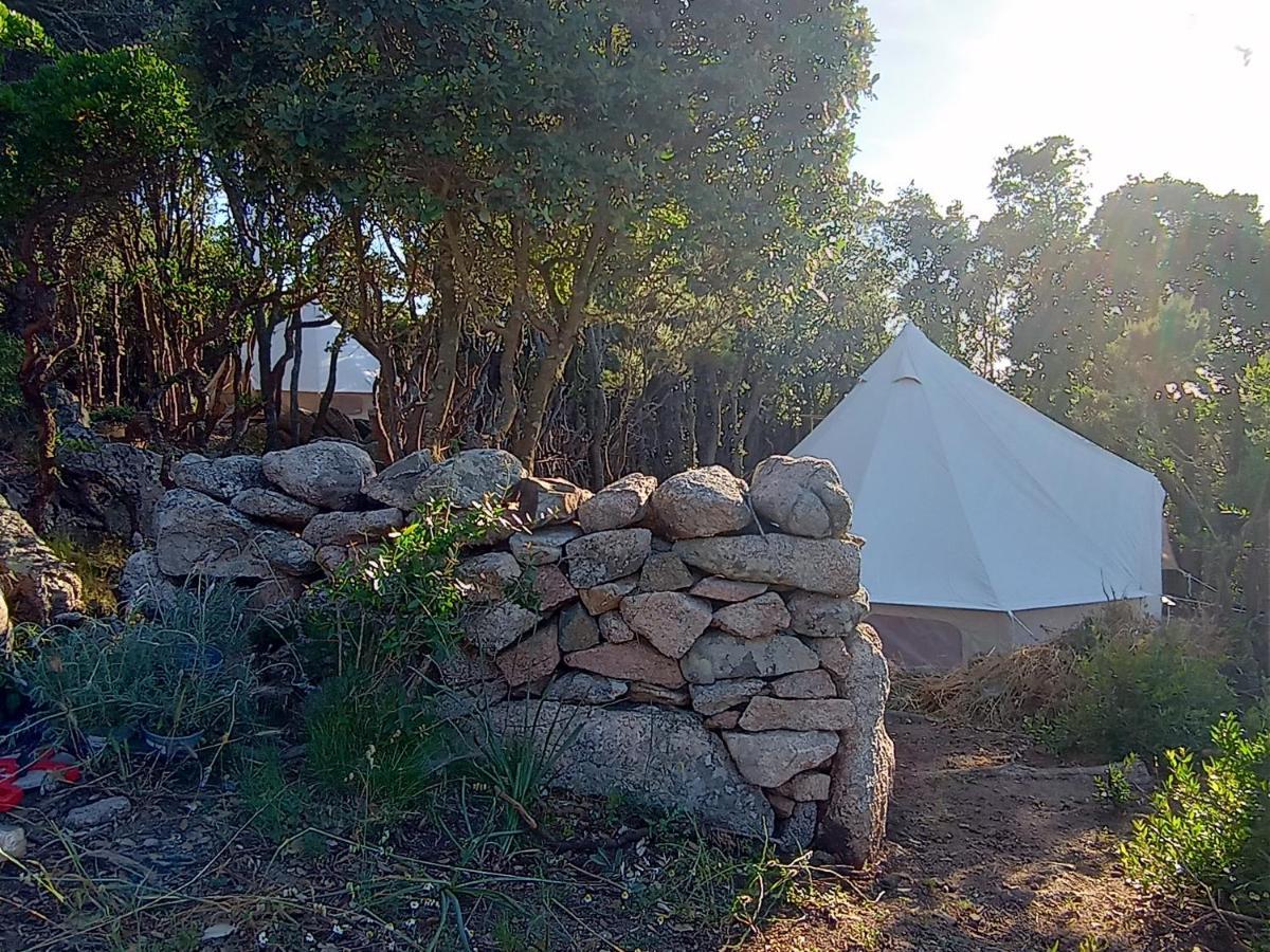 La Cera Farm Camping B&B Santa Teresa Gallura Exteriér fotografie