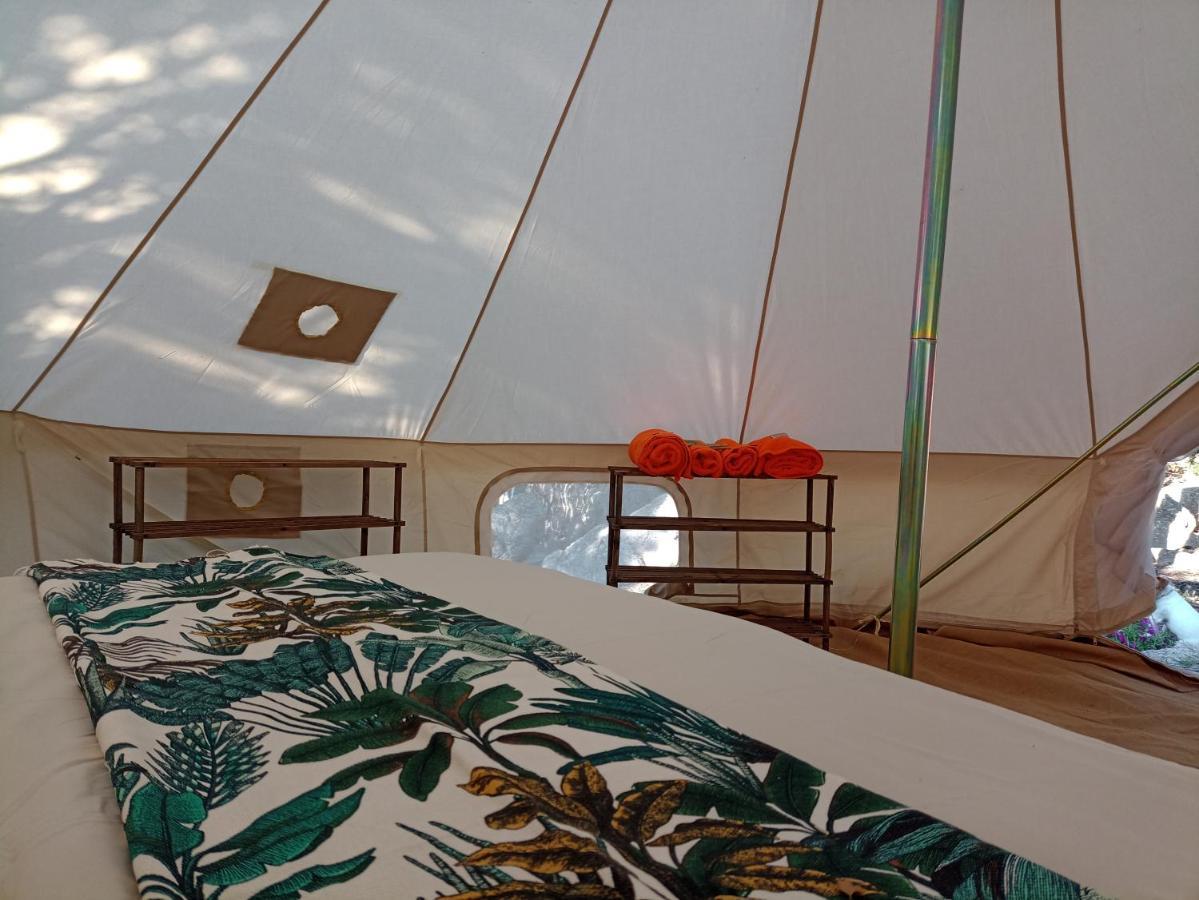 La Cera Farm Camping B&B Santa Teresa Gallura Exteriér fotografie
