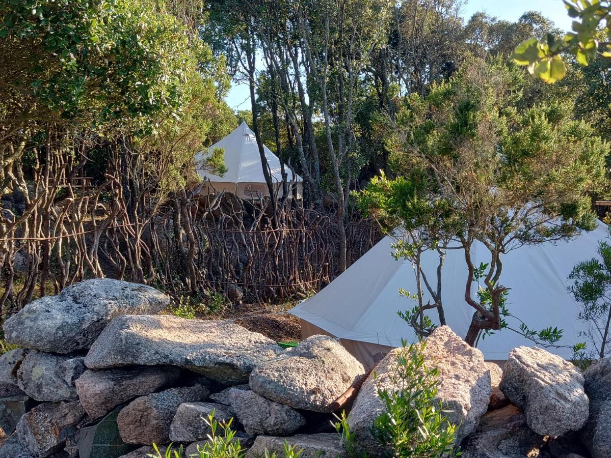 La Cera Farm Camping B&B Santa Teresa Gallura Exteriér fotografie