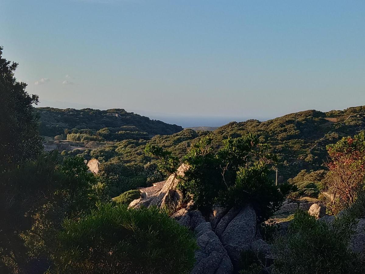 La Cera Farm Camping B&B Santa Teresa Gallura Exteriér fotografie
