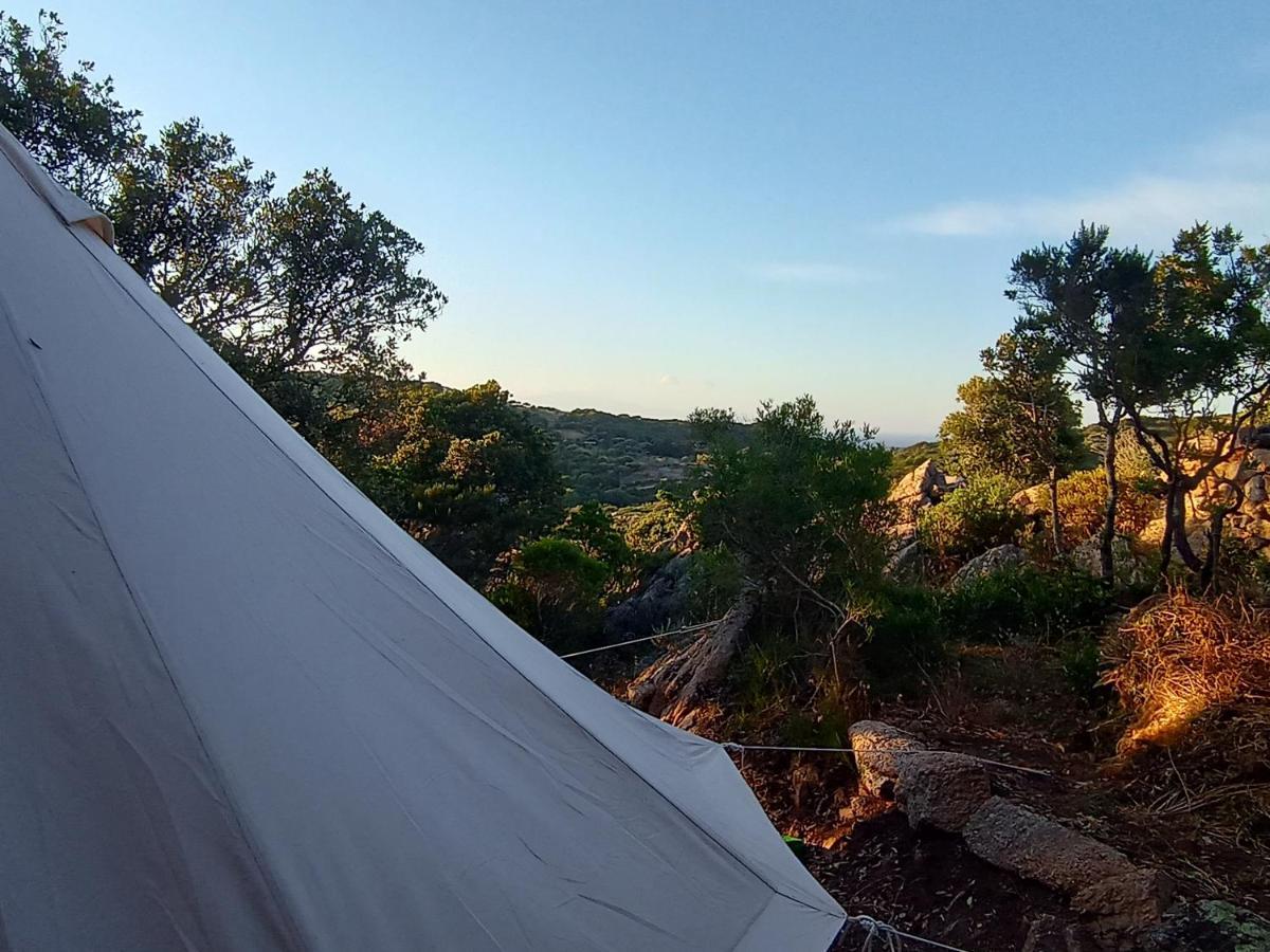 La Cera Farm Camping B&B Santa Teresa Gallura Exteriér fotografie