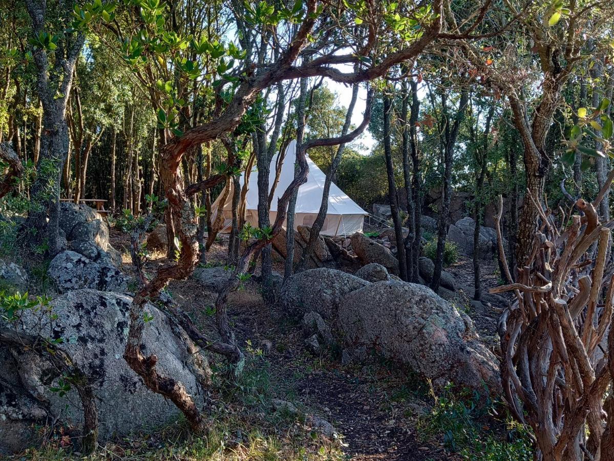 La Cera Farm Camping B&B Santa Teresa Gallura Exteriér fotografie
