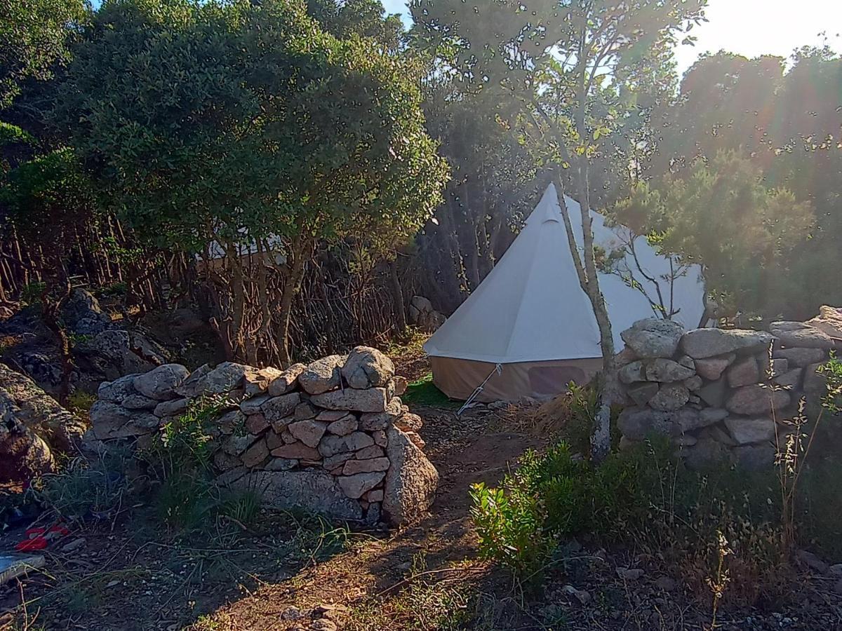 La Cera Farm Camping B&B Santa Teresa Gallura Exteriér fotografie