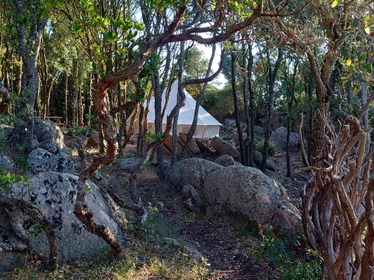 La Cera Farm Camping B&B Santa Teresa Gallura Exteriér fotografie