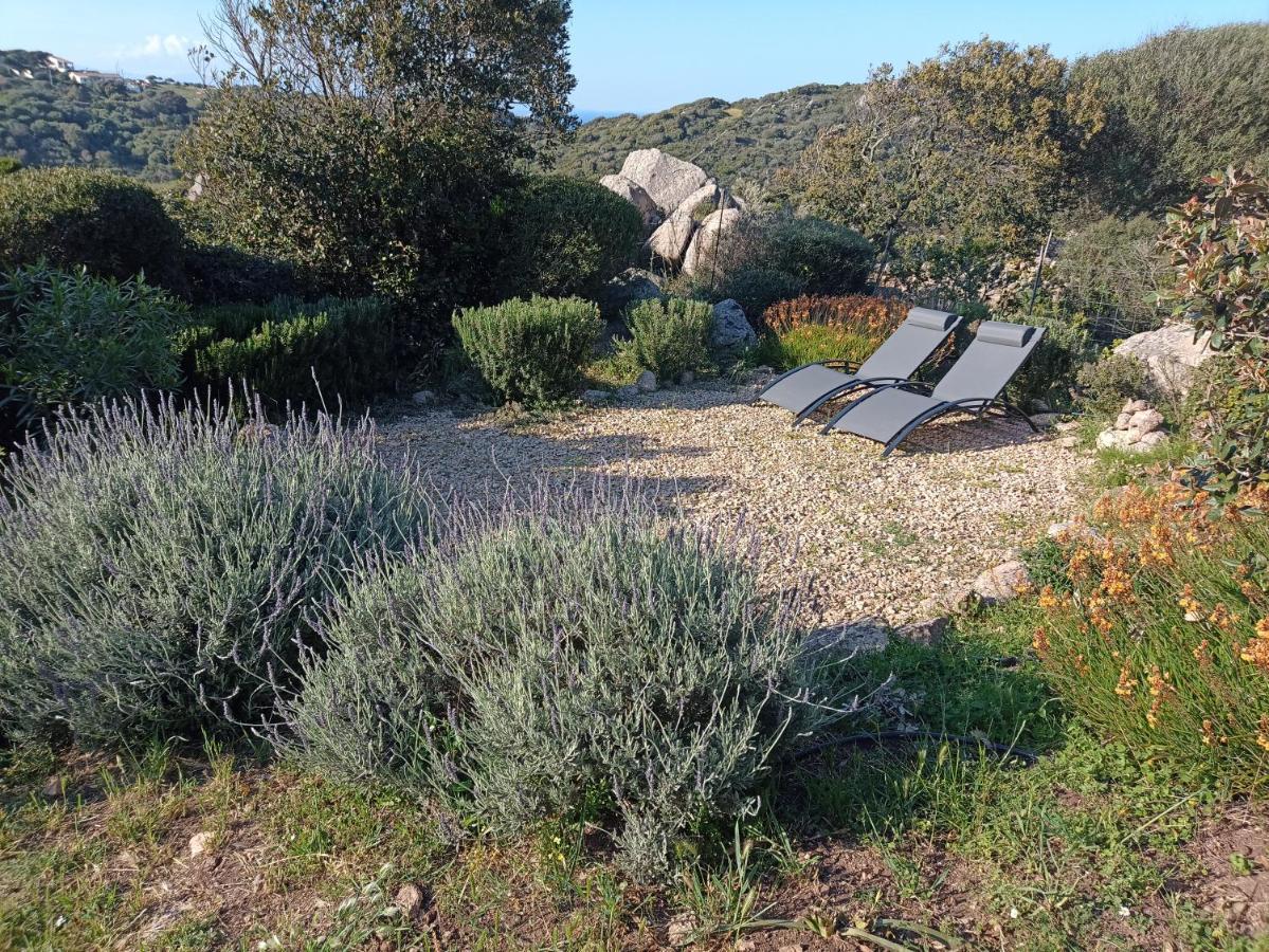 La Cera Farm Camping B&B Santa Teresa Gallura Exteriér fotografie