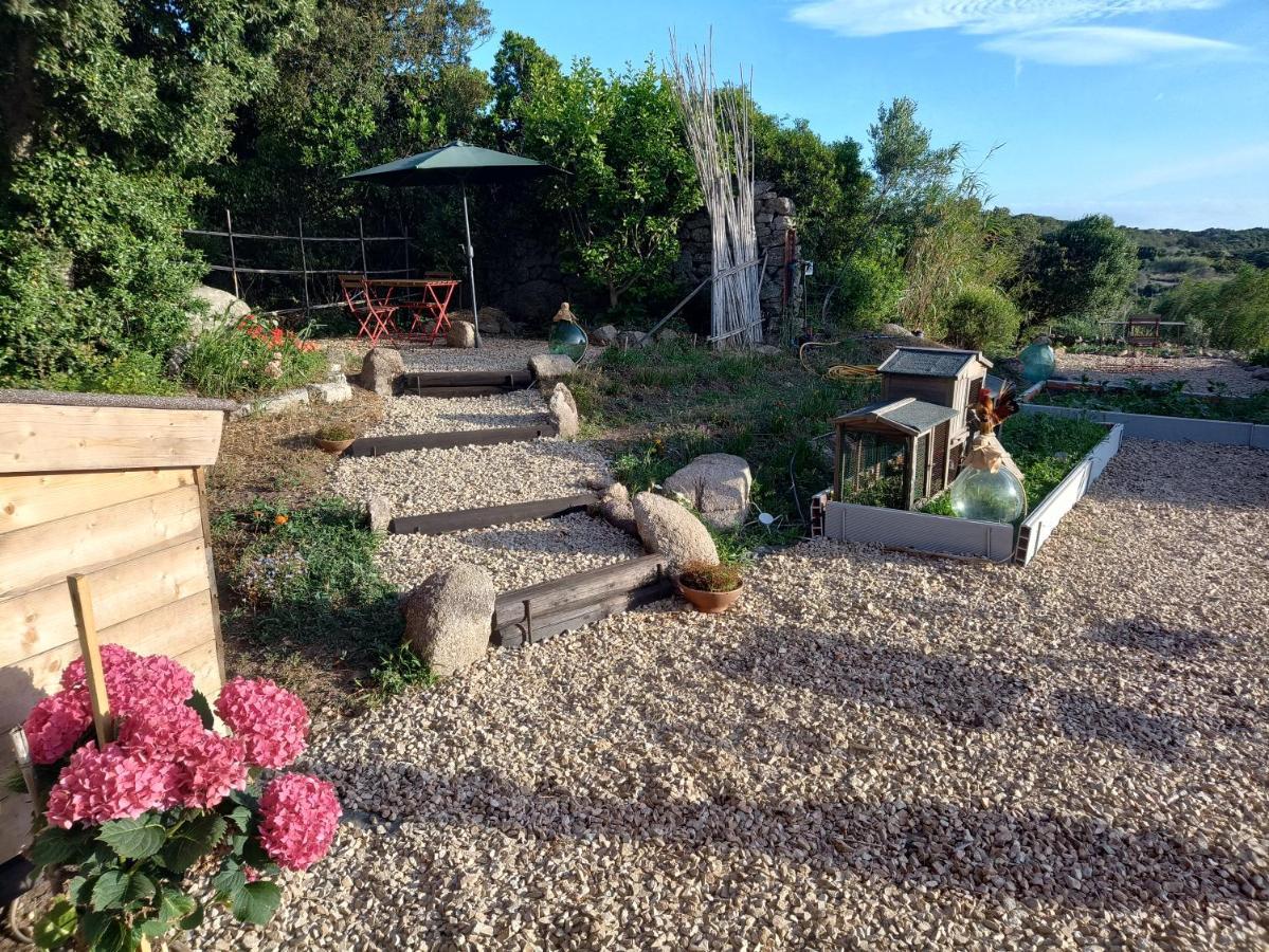 La Cera Farm Camping B&B Santa Teresa Gallura Exteriér fotografie