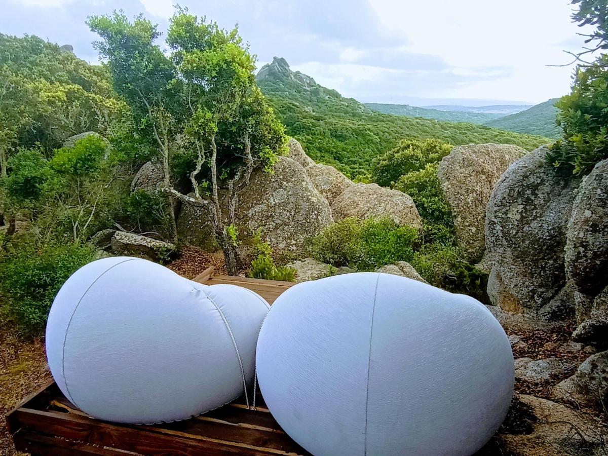 La Cera Farm Camping B&B Santa Teresa Gallura Exteriér fotografie