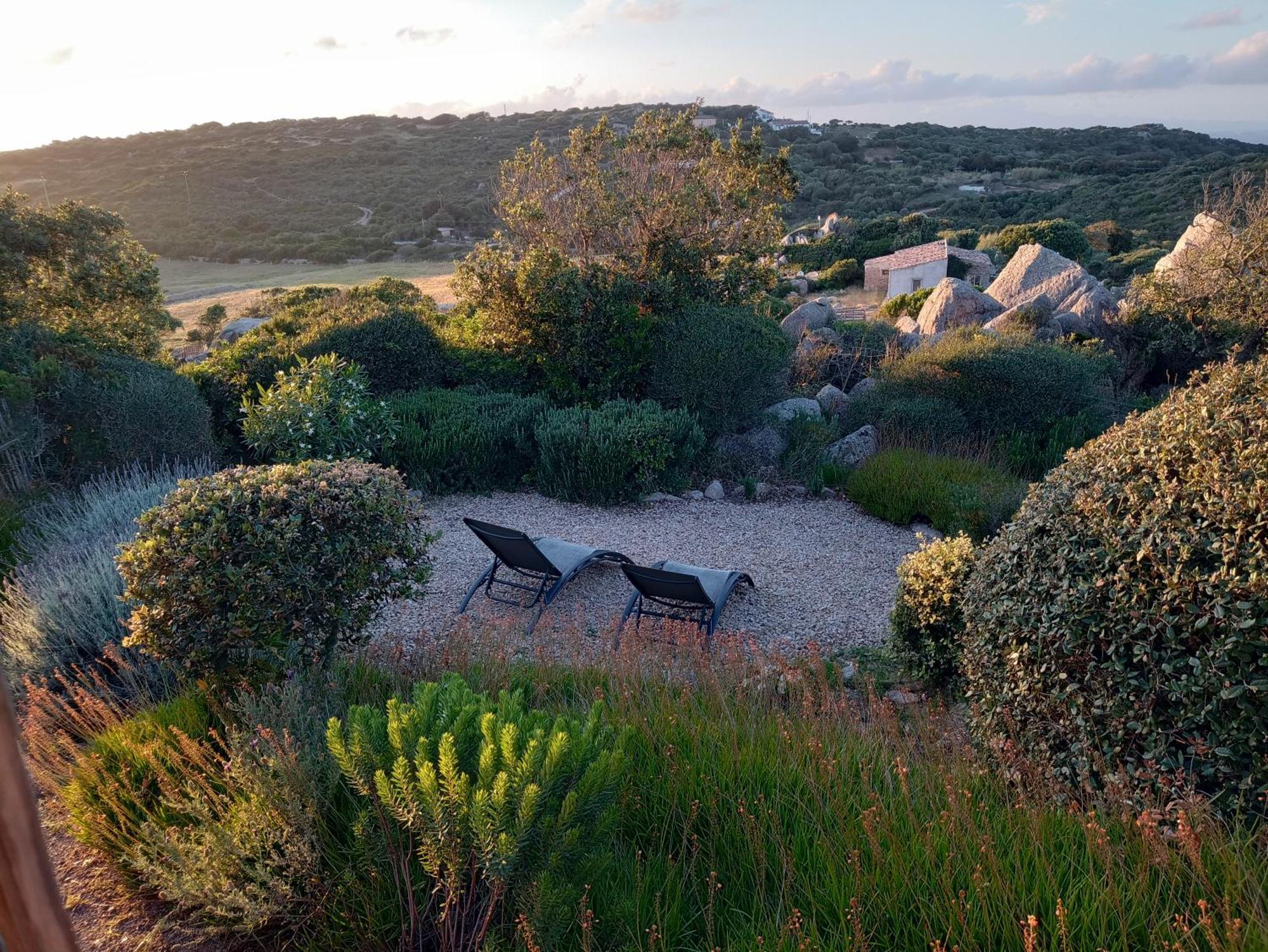 La Cera Farm Camping B&B Santa Teresa Gallura Exteriér fotografie