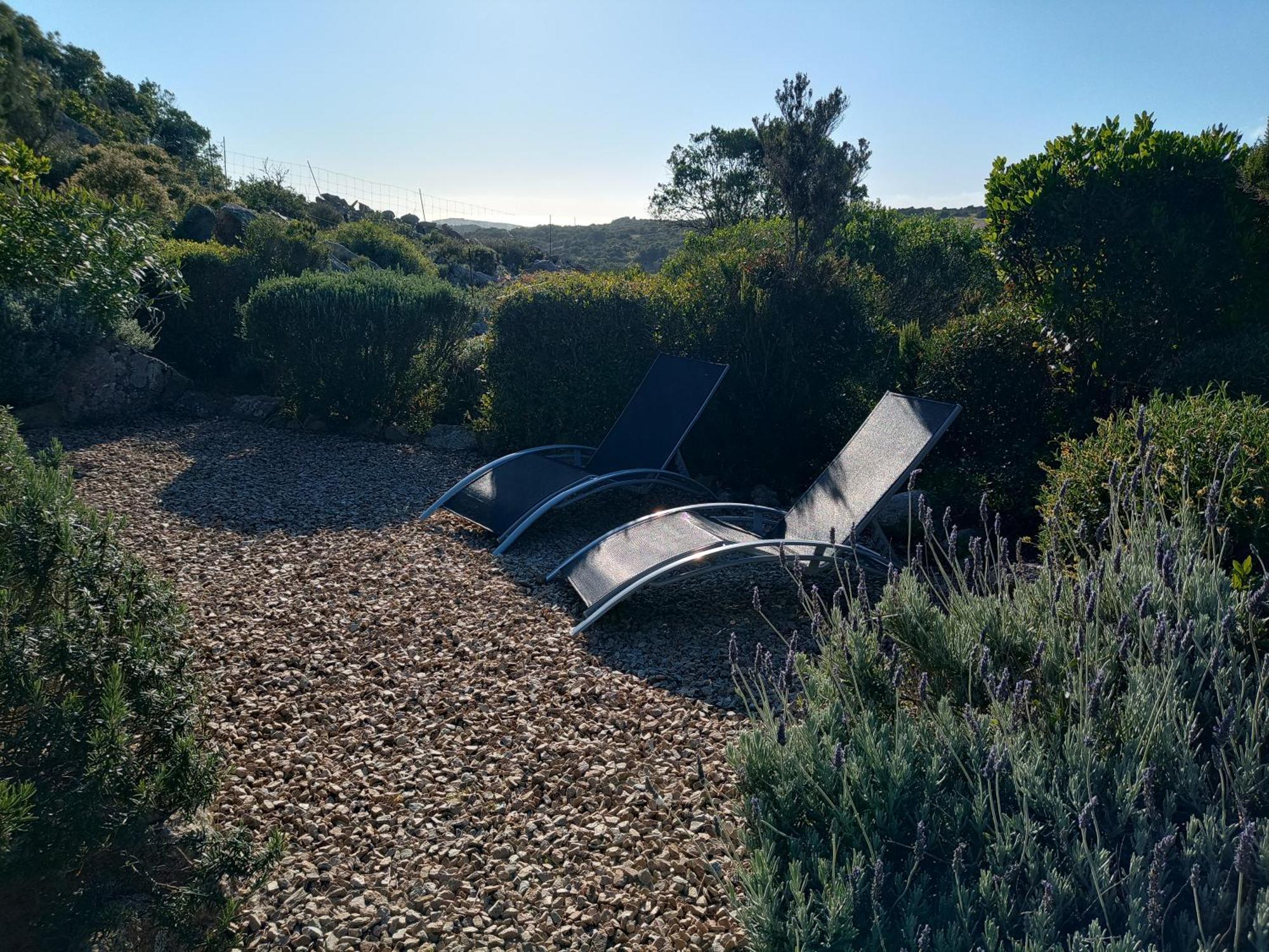 La Cera Farm Camping B&B Santa Teresa Gallura Exteriér fotografie