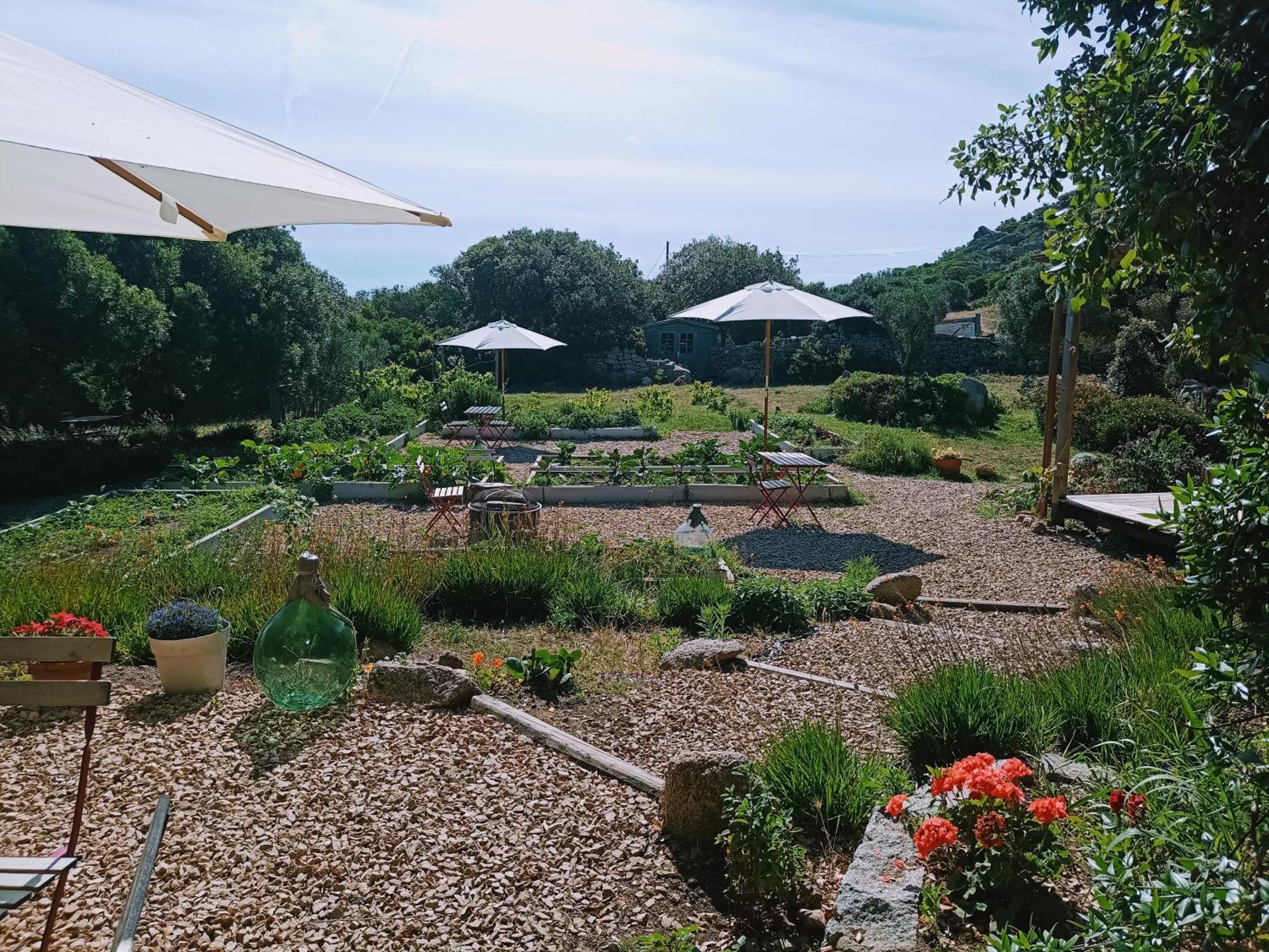 La Cera Farm Camping B&B Santa Teresa Gallura Exteriér fotografie