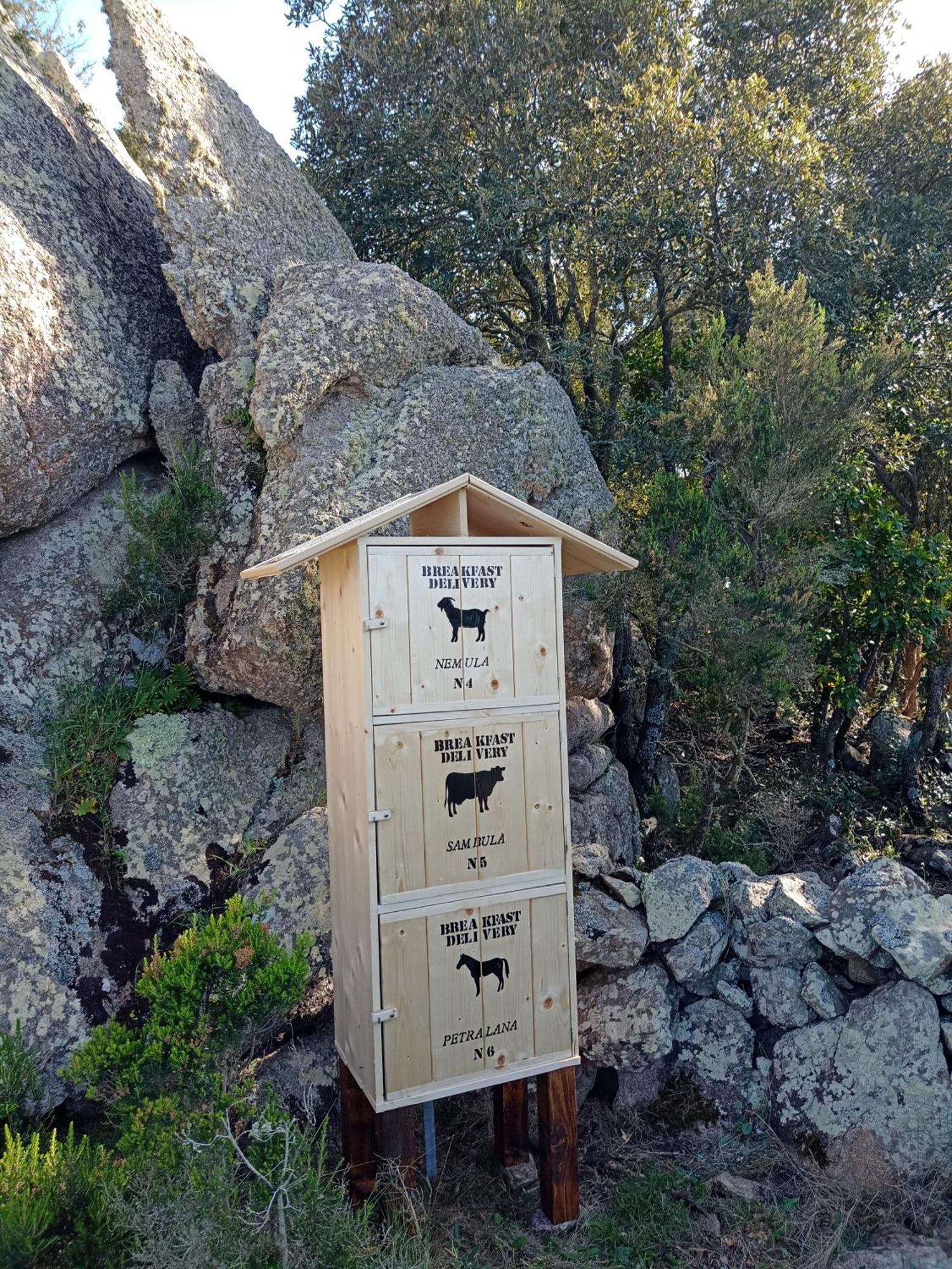 La Cera Farm Camping B&B Santa Teresa Gallura Exteriér fotografie